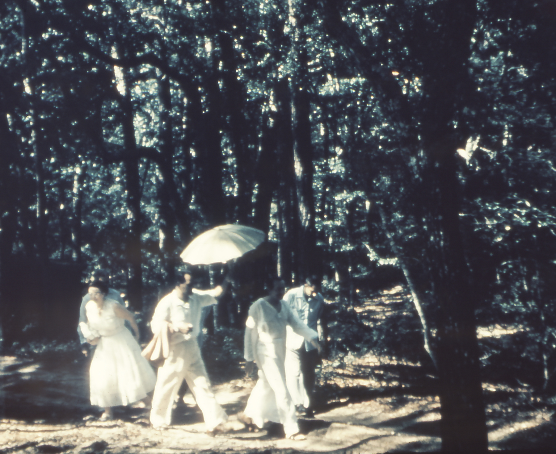 메헤르 센터를 걷는 모습, 1956년 7월